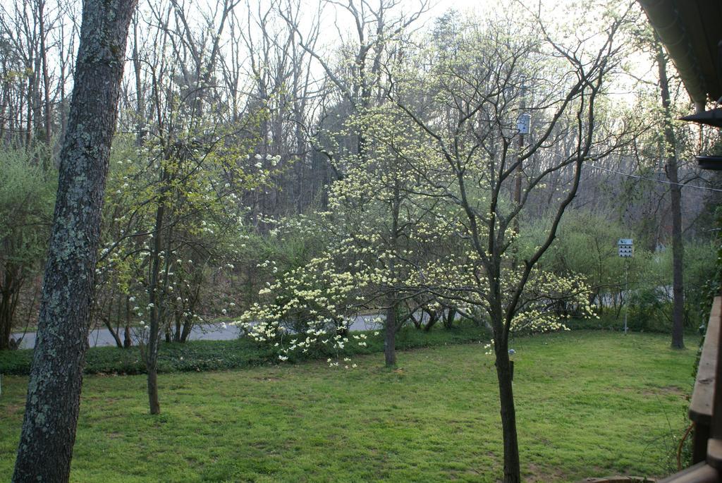 Burtonsville Ebenezer House Bed & Breakfast מראה חיצוני תמונה